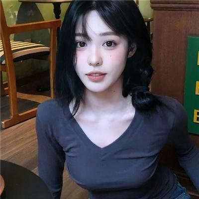 执法者们国语